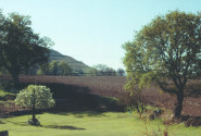 Scenery, Dorset cottage