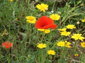 Cycling holiday in Catalonia, Spain