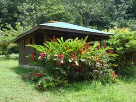 Dominica ecolodge holiday