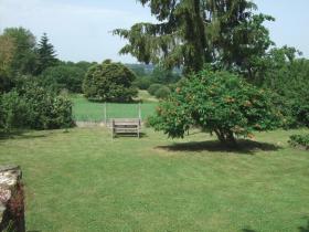 Large, private garden