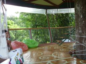 The 360� view level to a jungle and Caribbean ocean