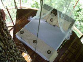 Fall asleep with the sounds of the Nature