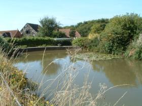 Mill pond