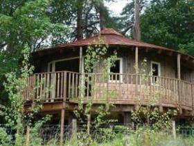 High Weald tree house accommodation, England