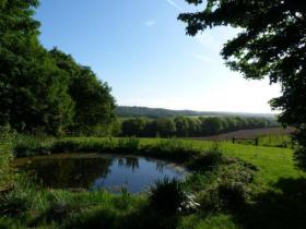 Valley view from the pond