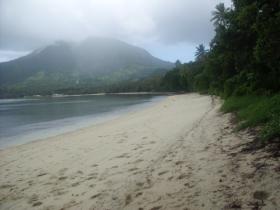 the second largest mountain in fiji.....mt wasington above naus homestay