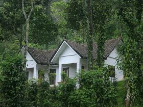 Periyar wild life sanctuary accommodation, Kerala, India