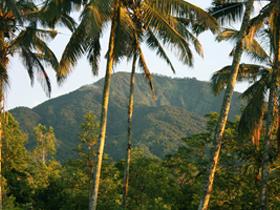 View to Mount Batukaru