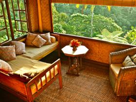 Tree House private lounge
