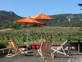 Enjoy panoramic views from the deck and watch the eagles!