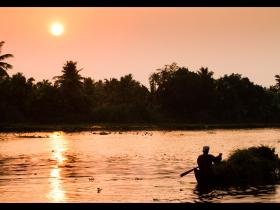 sunset view in Backwaters