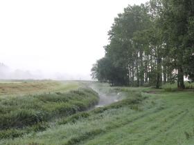 Misty morning by the river