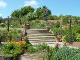 The Garden
