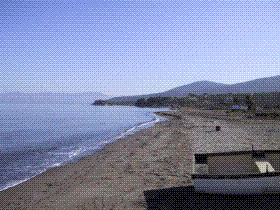 Local Beach