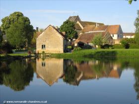 Our wildlife pond in the gardens
