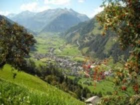 Rauris