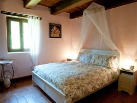 Spacious Guest Apartments