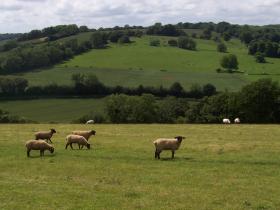 Kent bed and breakfast farmstay, England
