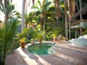 Tailwind pool and Palapa Tigre