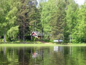 Peace by lake and forest