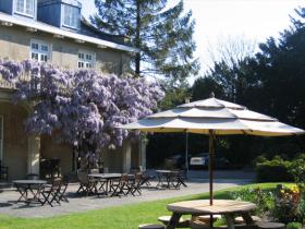 The Terrace
