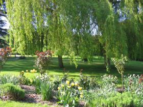 The gardens