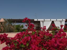 Riad Naila Terrace