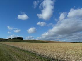 Local scenery