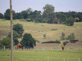 Eridge Park