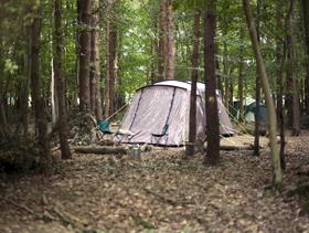 Camping in the woods