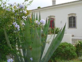 Quinta Mimosa View