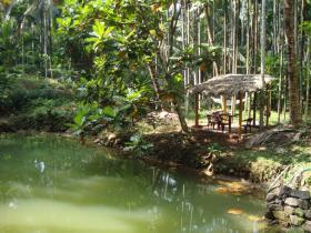 Diner near pond