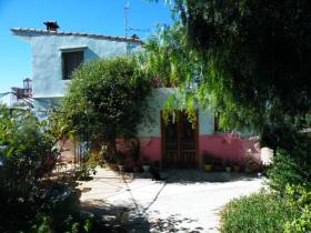 Valencia vegetarian B&B, Spain