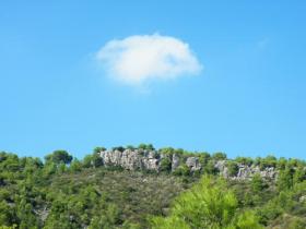 local landscape