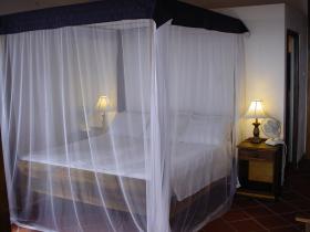 The Peackock Room