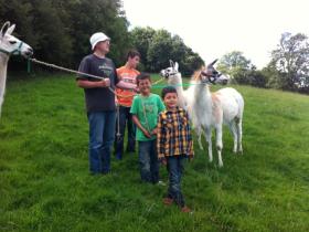 Godshill Park Farm llama trekking