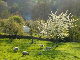 Yurt accommodation in the Cotswolds, England