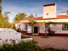 L�d�o Cottage, to the left, with the front meadow's flowers and weed providing seeds.