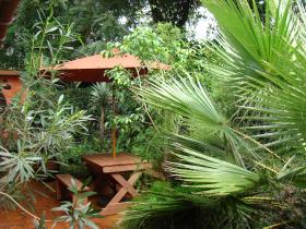 Lake View Studios: Outdoor seating area