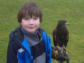 Falconry courses at Dernwood Farm