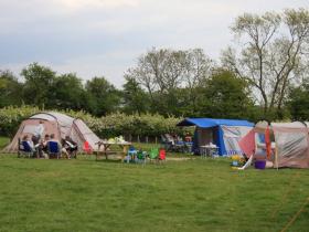 Campsite and yurts in Sussex, England