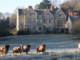 Northcourt front in last frost of the Spring