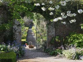 Entrance to kitchen garden with rhubarb picked for breakfast