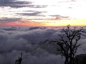 Landour holiday cottage, Uttarakhand, India