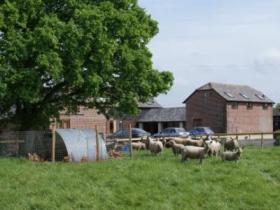 New Forest cottages, sleeps 2, England