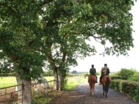 New Forest self catering cottages, England