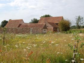 Piggery and Cowshed