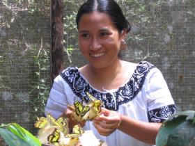 Free visit to Fallen Stones Butterfly Farm