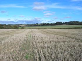 Views along the Elham Valley Way 2