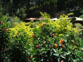 Ikweta Country Inn - Maua Gardens across the Mboone River